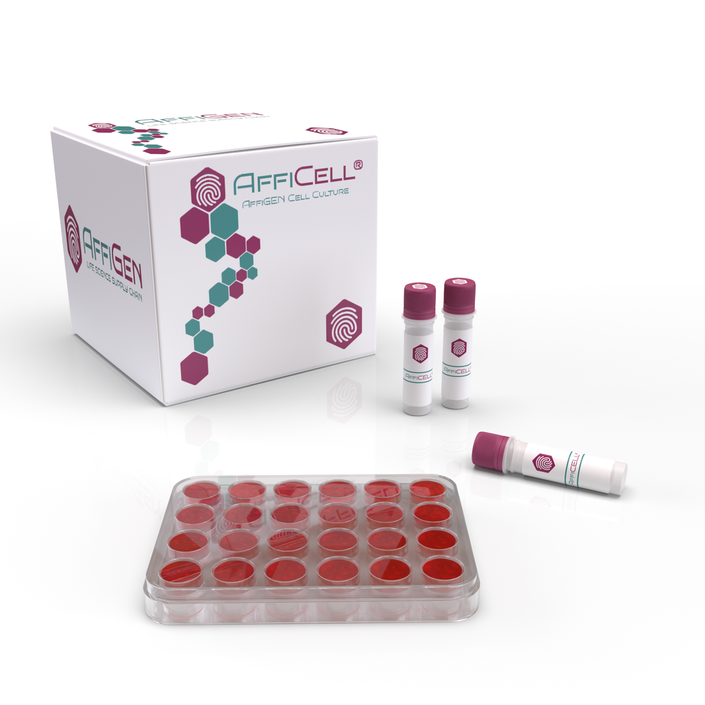 AffiCELL® 12 Cell Culture Inserts+24 Well Plate, 0.4 μm, PC Memberane, TC, Sterile, 12/pk, 48/cs