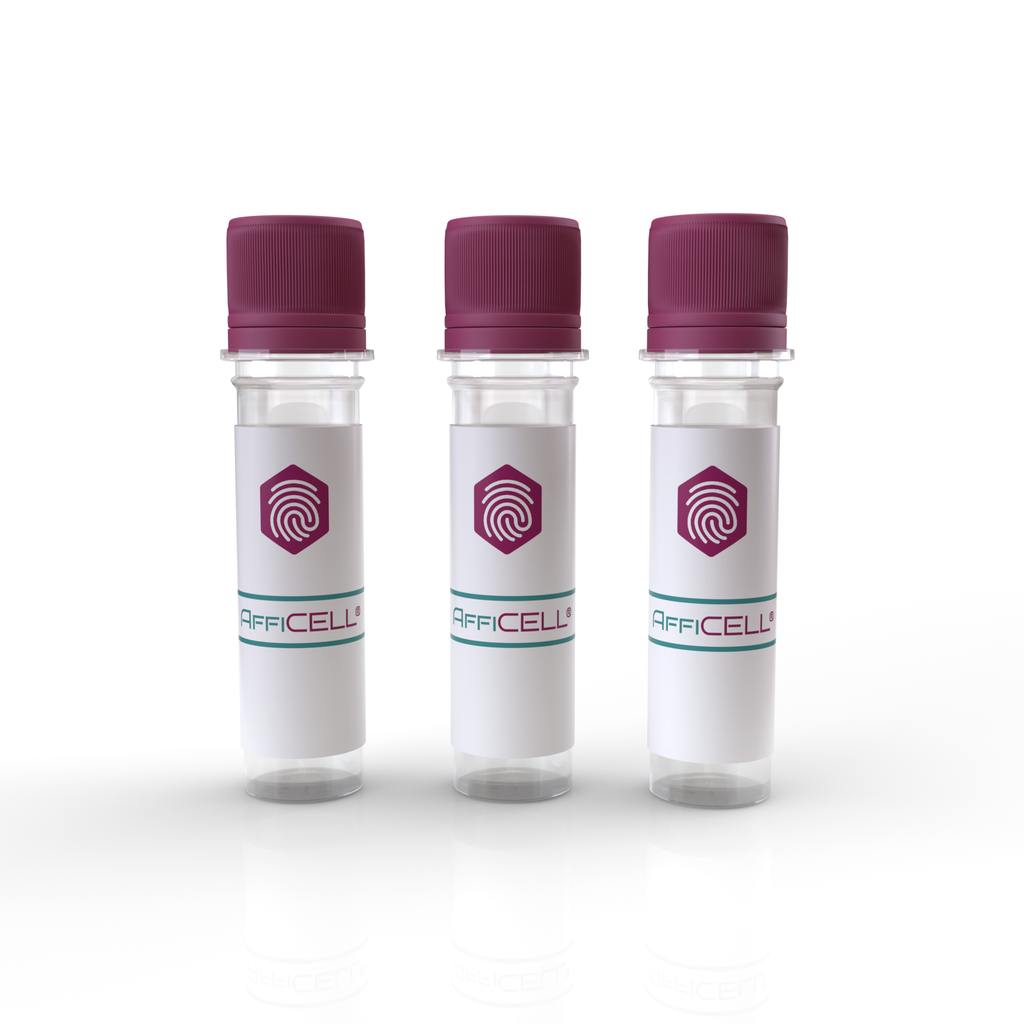 AffiCELL® BeWo Cells