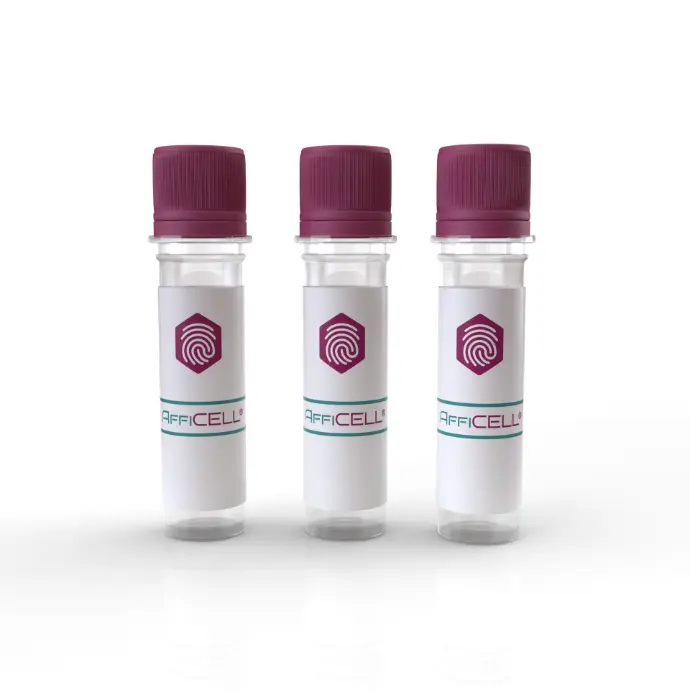 AffiCELL® MT-2 Cell Line 