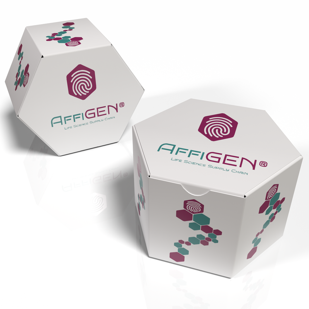 AffiCELL® COR-L23 Cell Line