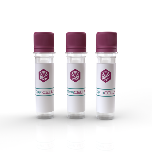[AFG-LBS-0002] AffiCELL® 22RV1 Cell Line
