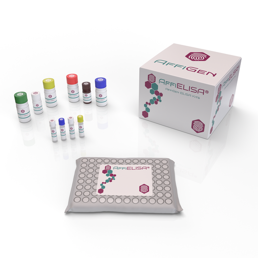 [AFG-BRB-13100] AffiCELL® NF-kB Luciferase Reporter-RAW264.7 Cell Line