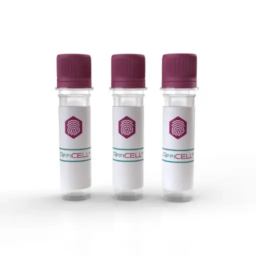 [AFG-CBG-1276] AffiCELL® MT-2 Cell Line 